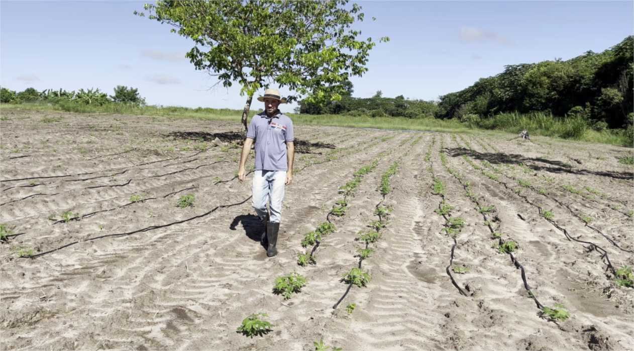 “Agora a gente vai conseguir produzir o ano todo”, afirma produtor familiar que recebeu kit de irrigação do Governo de MT