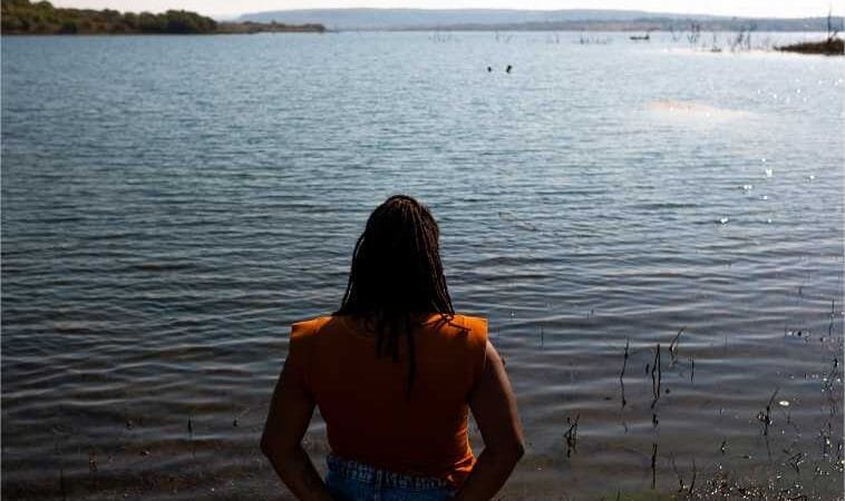 Filmes produzidos com apoio da Secel são lançados nesta terça e quarta-feira com sessões gratuitas