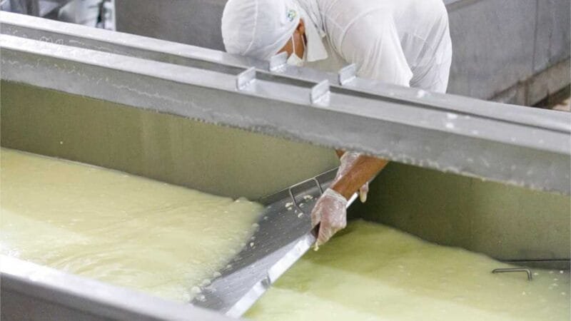 Governo regulamenta normas para manipulação e beneficiamento de produtos da agroindústria familiar em MT