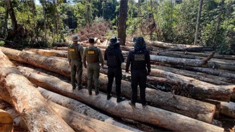 Sema e PJC apreendem 618 metros cúbicos de madeira extraída ilegalmente na região de floresta amazônica