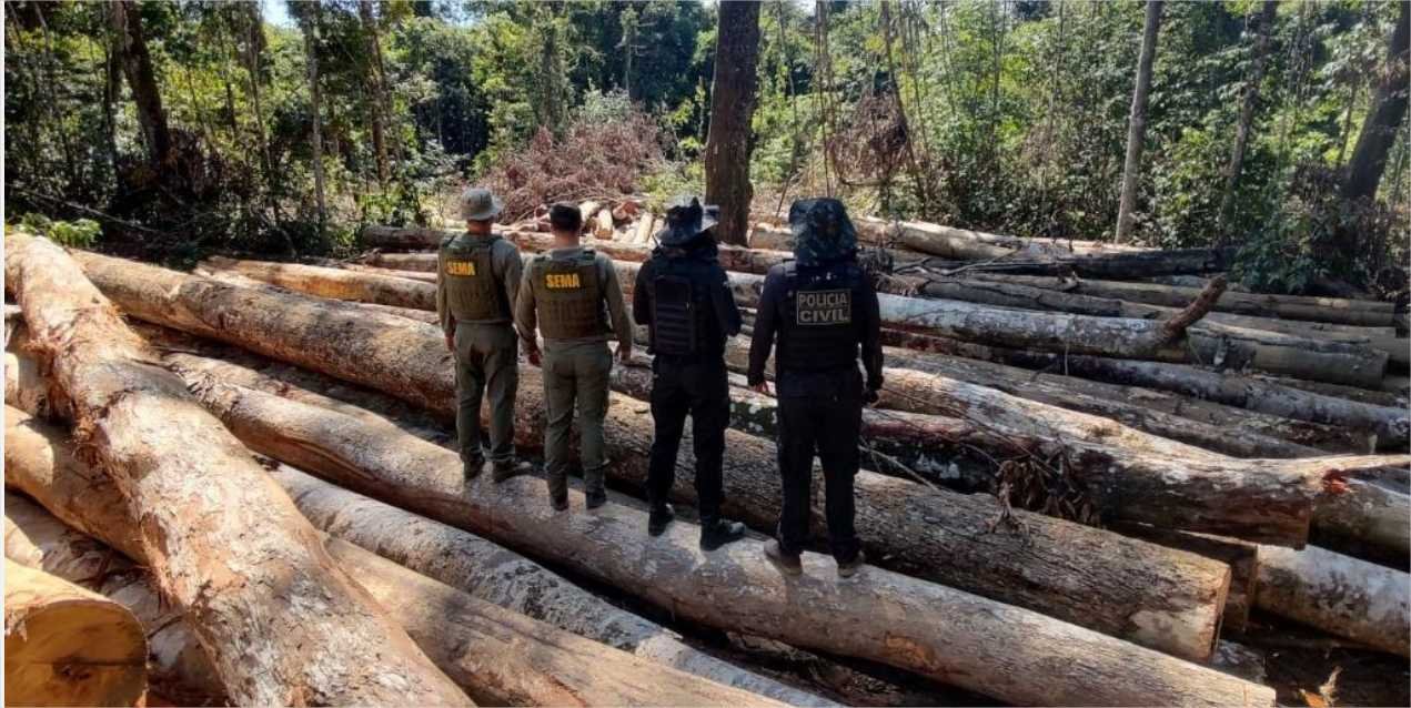 Sema e PJC apreendem 618 metros cúbicos de madeira extraída ilegalmente na região de floresta amazônica