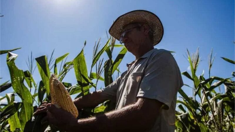 CRA pode votar incentivo para agricultores familiares produzirem biocombustíveis