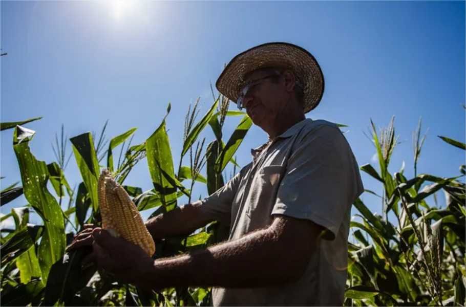CRA pode votar incentivo para agricultores familiares produzirem biocombustíveis
