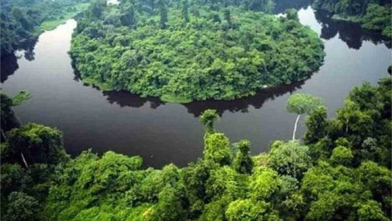 Botelho afirma que AL pode recorrer para evitar extinção de Parque Estadual