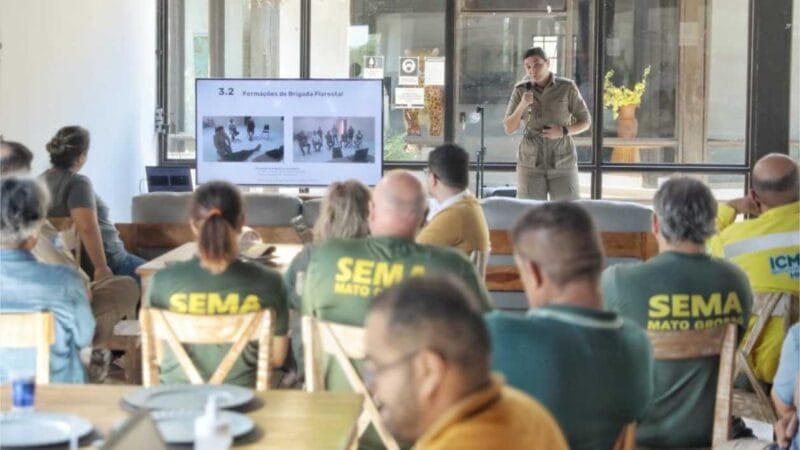 Pantanal terá equipes exclusivas, com avião e 49 bombeiros e brigadistas, para combater incêndios