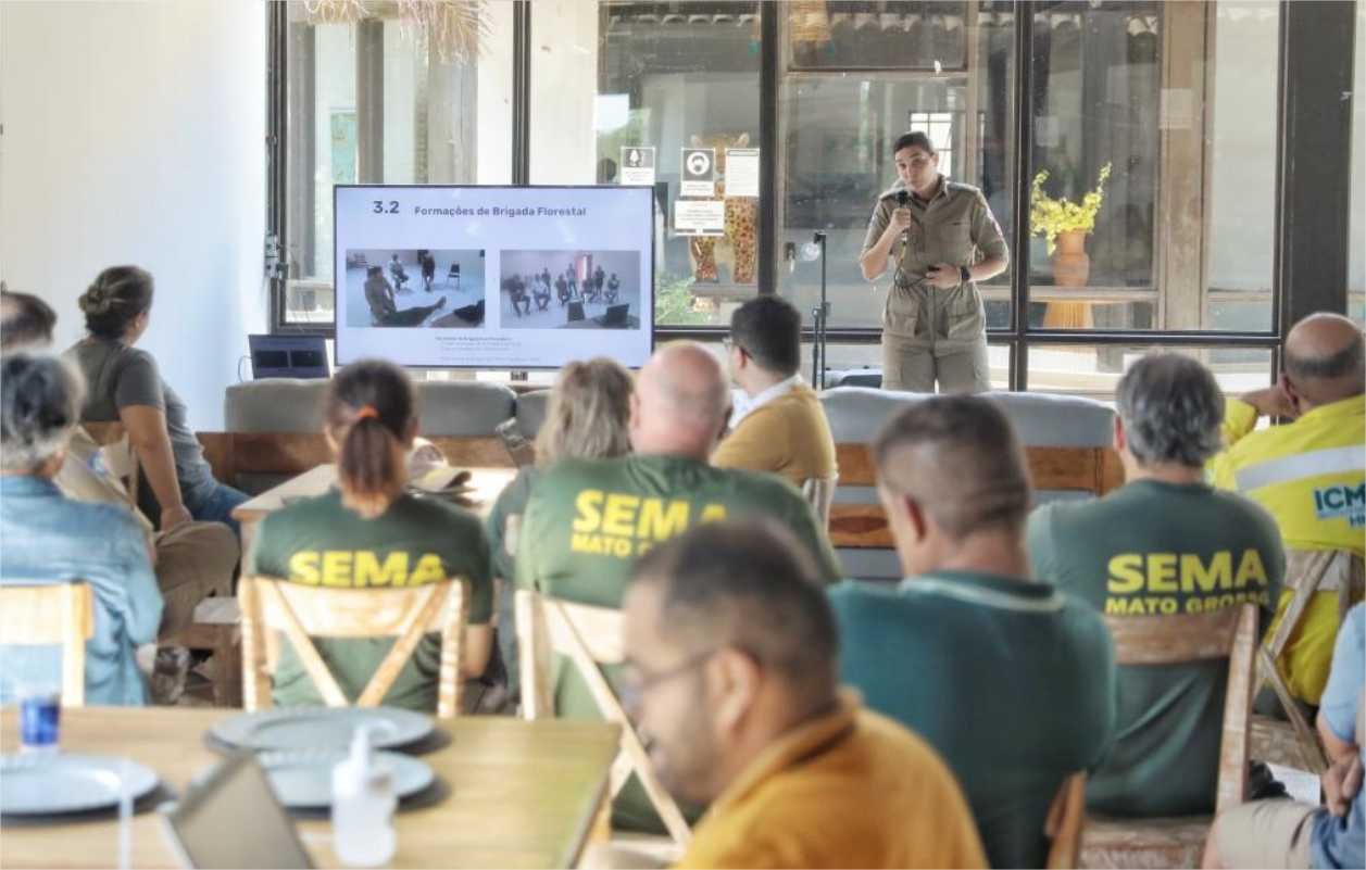 Pantanal terá equipes exclusivas, com avião e 49 bombeiros e brigadistas, para combater incêndios