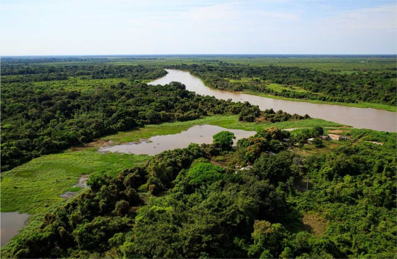 Governo de MT se reúne com proprietários para debater estratégias de prevenção aos incêndios no Pantanal nesta sexta-feira (17)