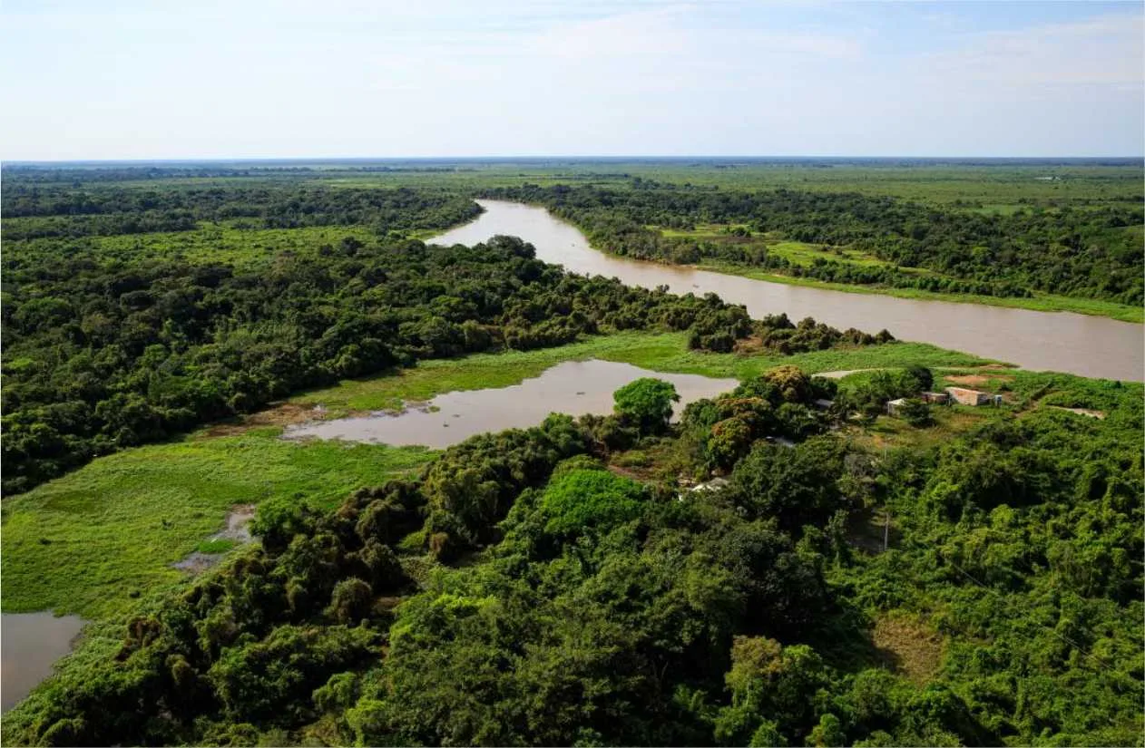 Governo de MT se reúne com proprietários para debater estratégias de prevenção aos incêndios no Pantanal nesta sexta-feira (17)