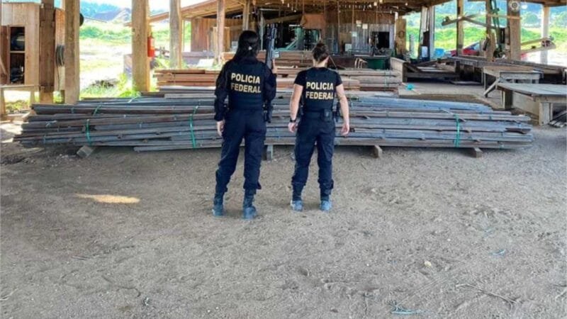 PF mira esquema de “Turco” de extração clandestina de madeira