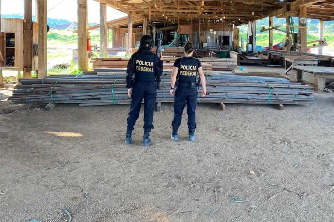 PF mira esquema de “Turco” de extração clandestina de madeira