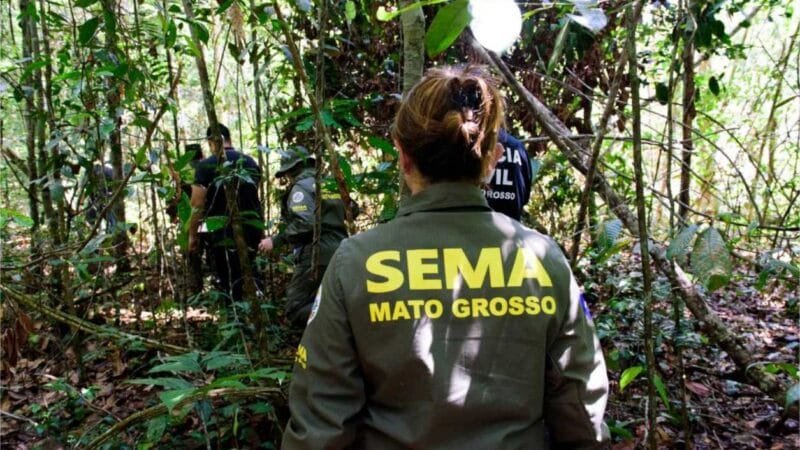 Governo de MT já aplicou R$ 303 milhões em multas por crimes ambientais em 2024