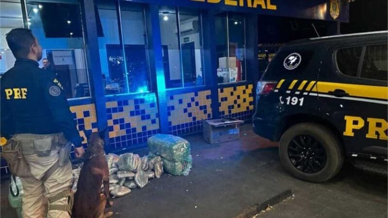 Traficante é preso com 110 kg de skunk em ônibus interestadual