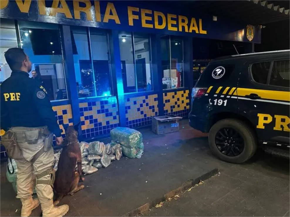 Traficante é preso com 110 kg de skunk em ônibus interestadual