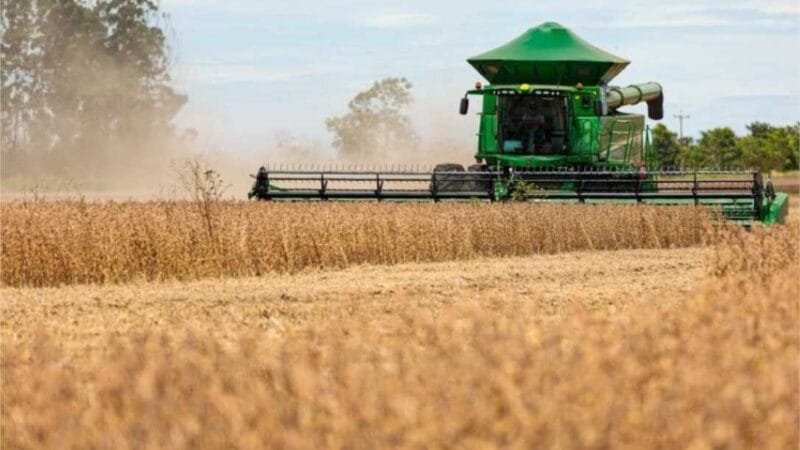 Vazio sanitário da soja começa dia 08 de junho em Mato Grosso