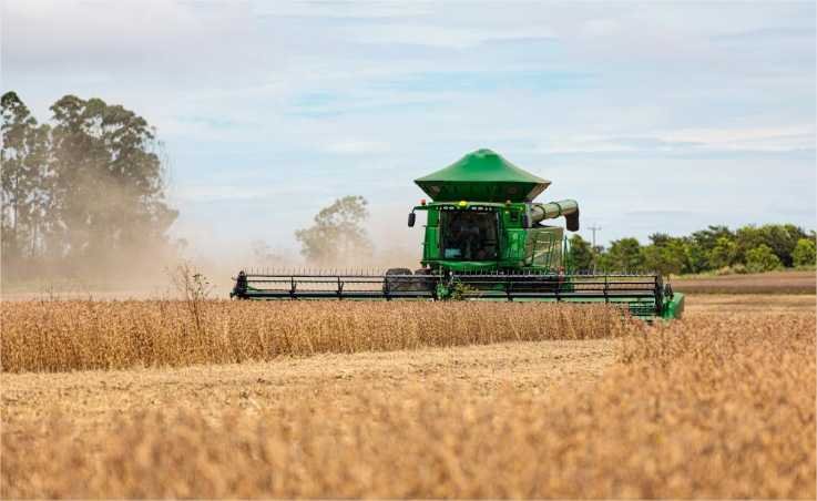 Mato Grosso se mantém como maior produtor de grãos do país em 2024