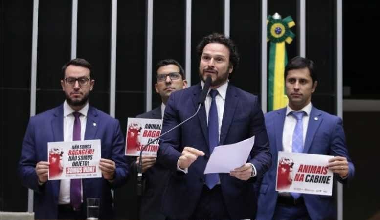 Câmara aprova oferta de transporte de animais domésticos nas cabines de aviões