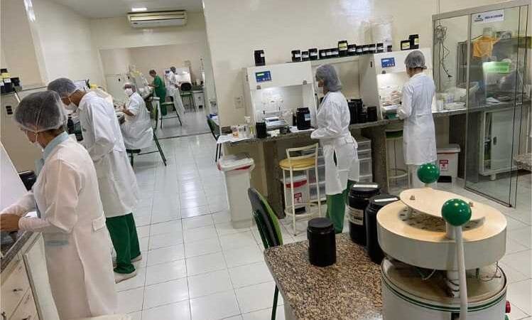 Pesquisa apoiada pelo Governo de MT desenvolve derivados de própolis para uso na indústria alimentícia