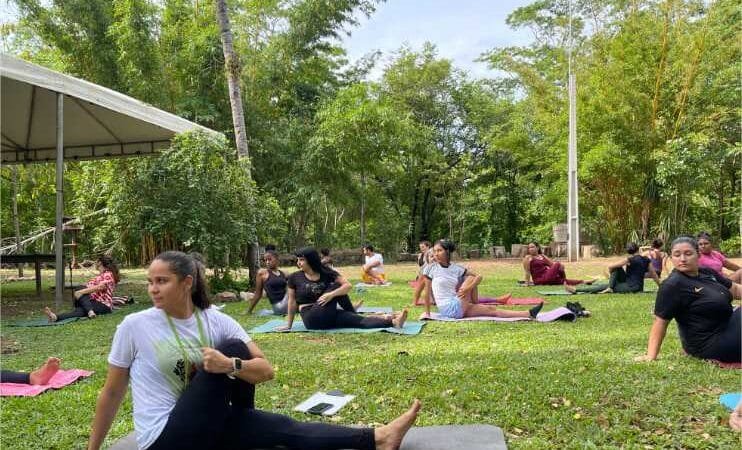 Museu de História Natural celebra mês das mães com atividades artísticas e de bem-estar
