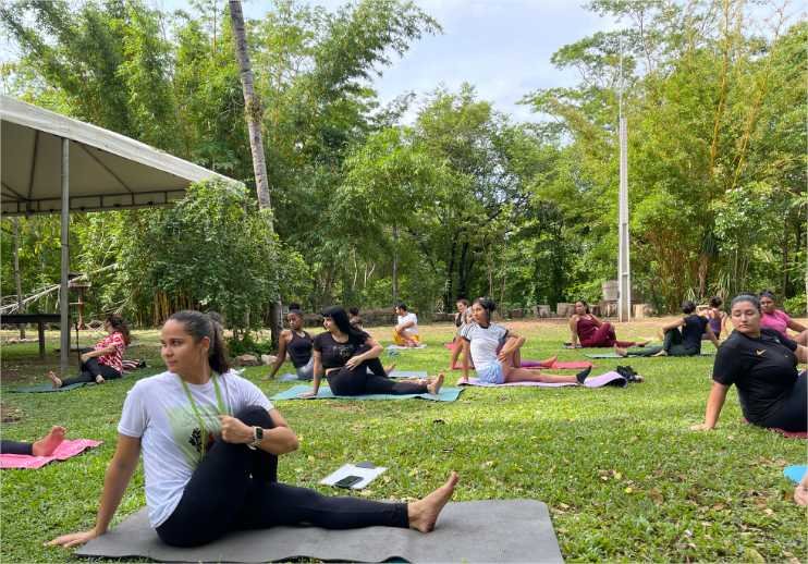 Museu de História Natural celebra mês das mães com atividades artísticas e de bem-estar
