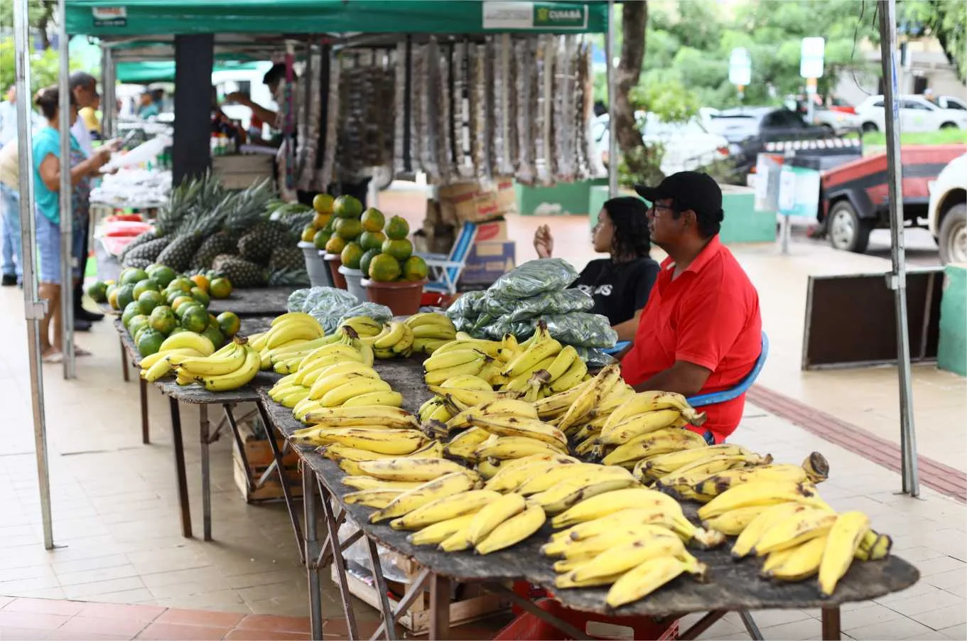 3ª edição da Feira de Produtores de Pequenas Propriedades e Agricultura Familiar acontece nesta quarta-feira (5)