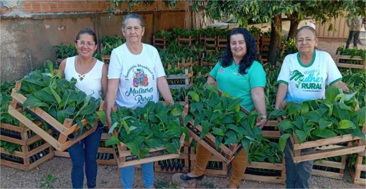 Governo de MT apoia mulheres do campo com 15 mil mudas de banana e kits para cultivo irrigado da fruta