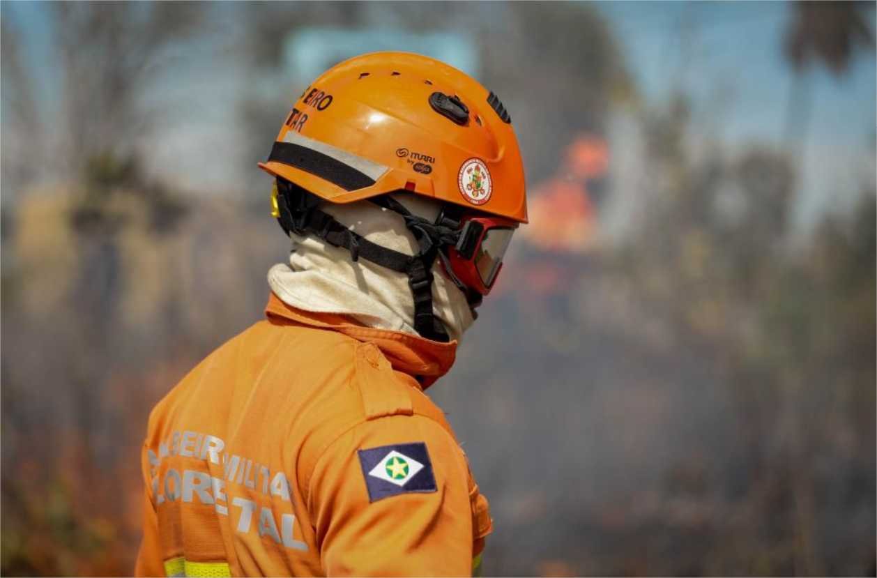 Corpo de Bombeiros de MT segue combatendo incêndio no lado de Cáceres do Pantanal nesta terça-feira (02)