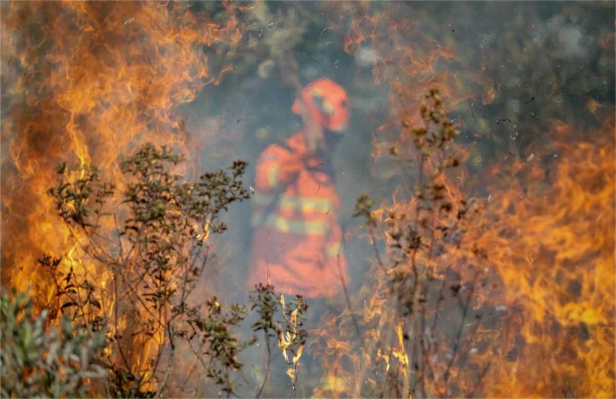 Governo de MT pede apoio da população e alerta sobre seca severa no Pantanal; saiba tudo que já foi feito