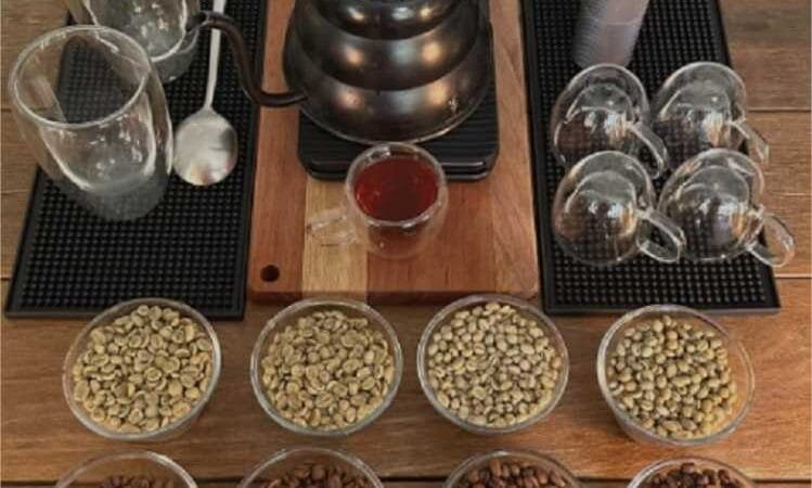 Produtores de café recebem apoio do Governo de MT para análise profissional e melhoria da qualidade dos grãos