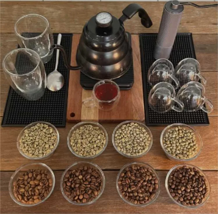 Produtores de café recebem apoio do Governo de MT para análise profissional e melhoria da qualidade dos grãos