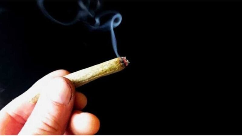 STF fixa em 40 gramas a liberação descriminalizada do porte de maconha para uso pessoal