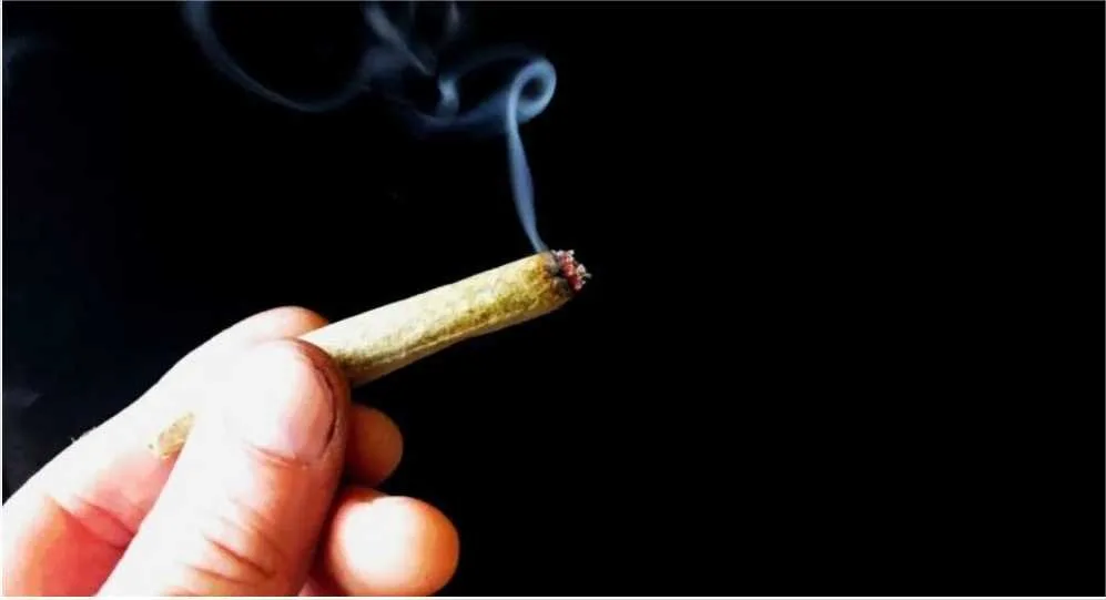 STF fixa em 40 gramas a liberação descriminalizada do porte de maconha para uso pessoal