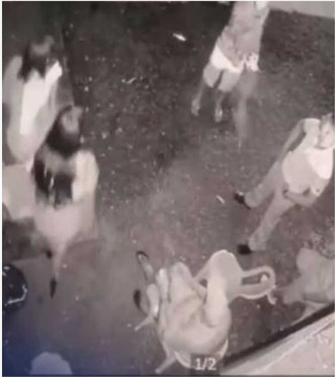 Empresário é assassinado a tiros dentro de boate em MT; veja vídeo