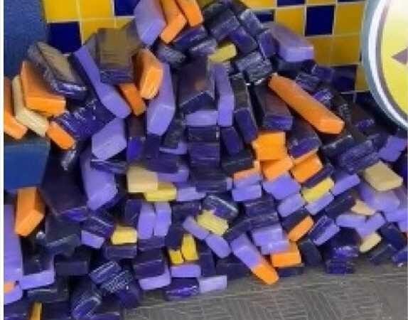 PRF apreende 716 kg de maconha em trecho na BR-163 na manhã desta segunda; veja vídeo