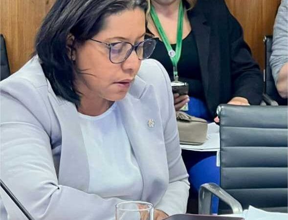 Gisela Simona sugere a prefeito que aprenda a respeitar as diferenças e que nestas eleições una forças ao UB contra corrupção