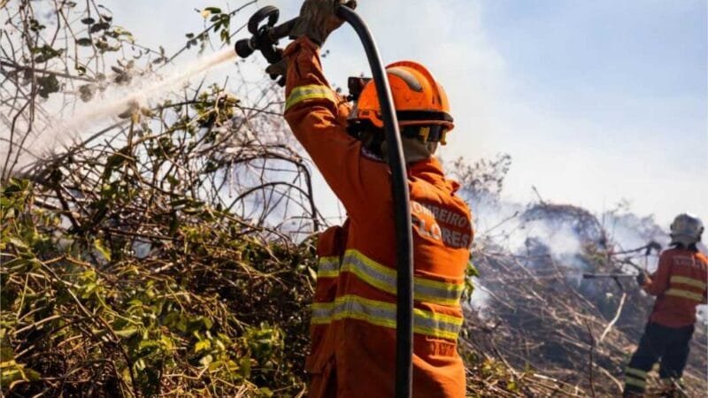 Bombeiros combatem focos de incêndio em três pontos do estado
