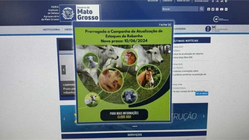Governo de MT prorroga campanha estadual de atualização de rebanho até dia 10 de junho