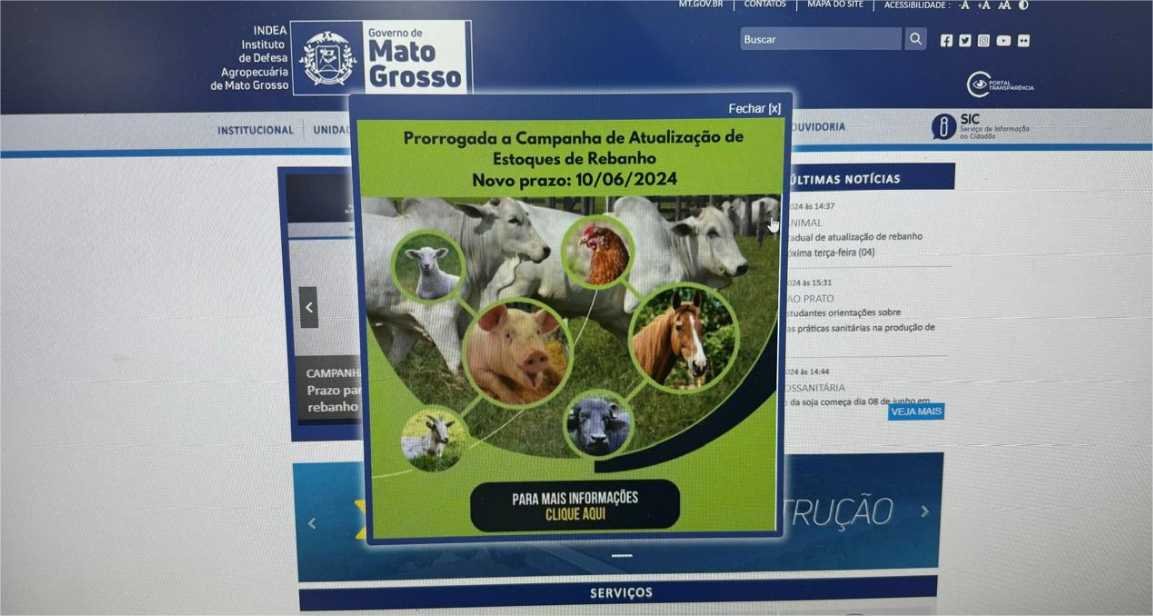 Governo de MT prorroga campanha estadual de atualização de rebanho até dia 10 de junho