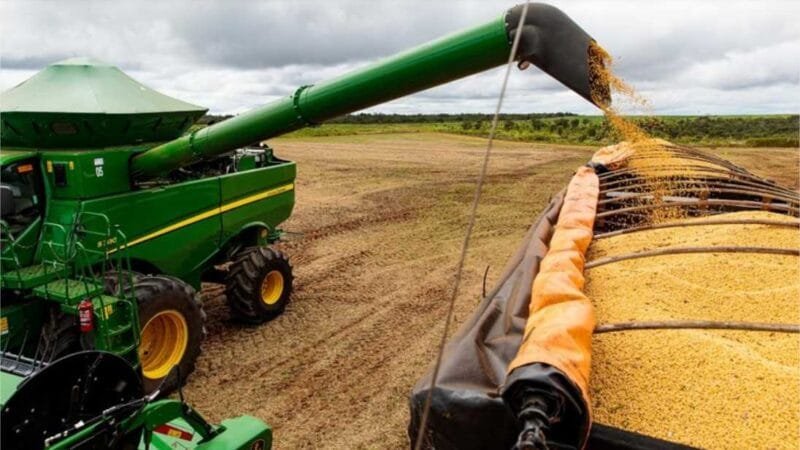 Esmagamento de soja em Mato Grosso cresce 20,24% em maio