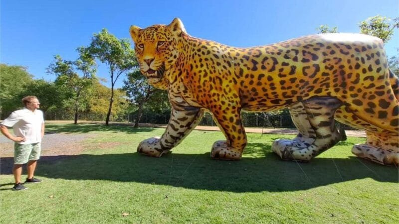Viradinha Sustentável nos Parques Mãe Bonifácia, Massairo Okamura e Zé Bolo Flô começa nesta quarta-feira (05)