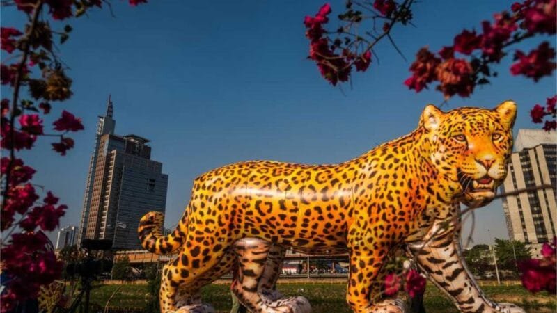 Viradinha Sustentável terá esculturas gigantes de onças-pintadas