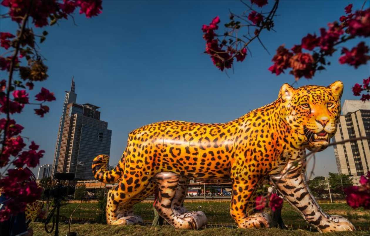 Viradinha Sustentável terá esculturas gigantes de onças-pintadas