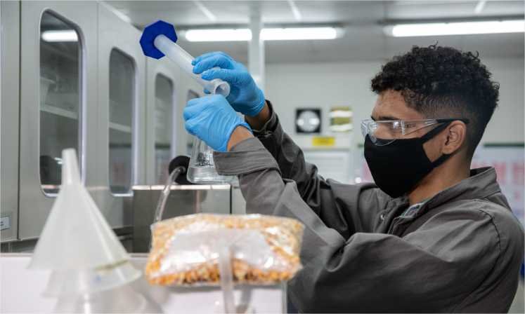 Pesquisa explora potencial dos coprodutos do etanol de milho para alimentação animal em MT