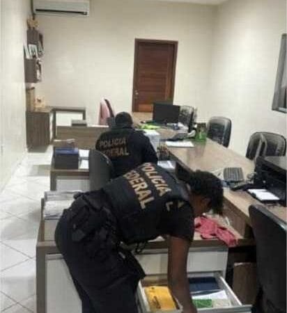 PF sequestra R$ 630 milhões de grupo acusado de desmatar 15 mil hectares na Amazônia