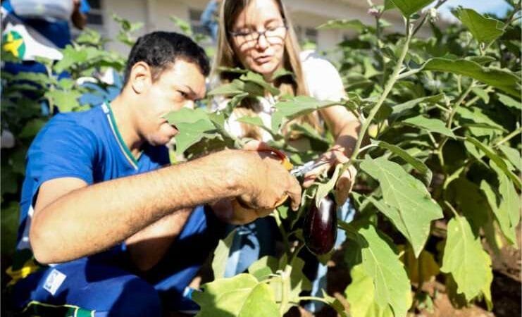 Seduc-MT amplia revista Campoqui para incluir artigos sobre educação ambiental, do campo e quilombola