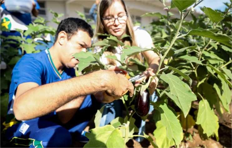 Seduc-MT amplia revista Campoqui para incluir artigos sobre educação ambiental, do campo e quilombola