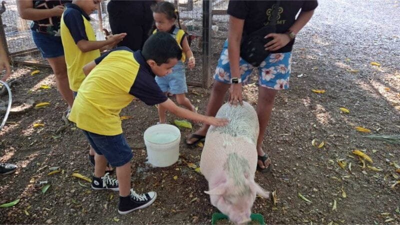 Crianças assistidas pela AACCMT participam de passeio na Fazendinha Cocoricó