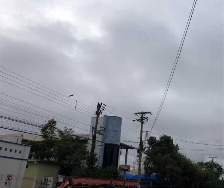 Julho começa com mudança brusca na temperatura e termômetros podem marcar 10 °C em VG