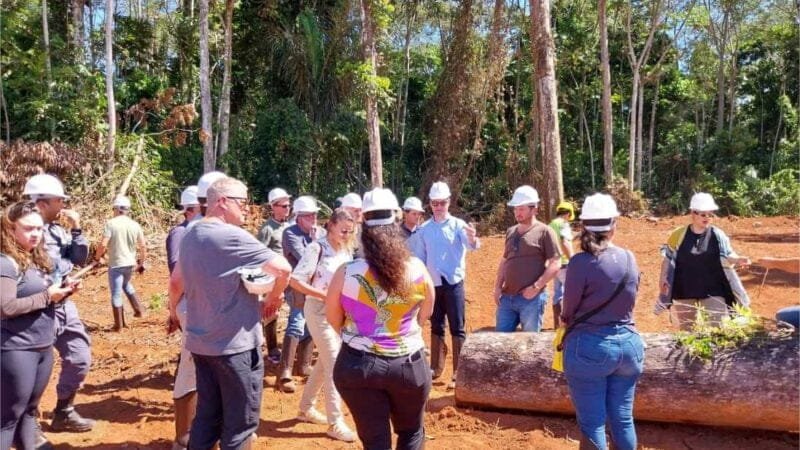 Transparência e sustentabilidade da madeira nativa são mostrados no Dia de Floresta