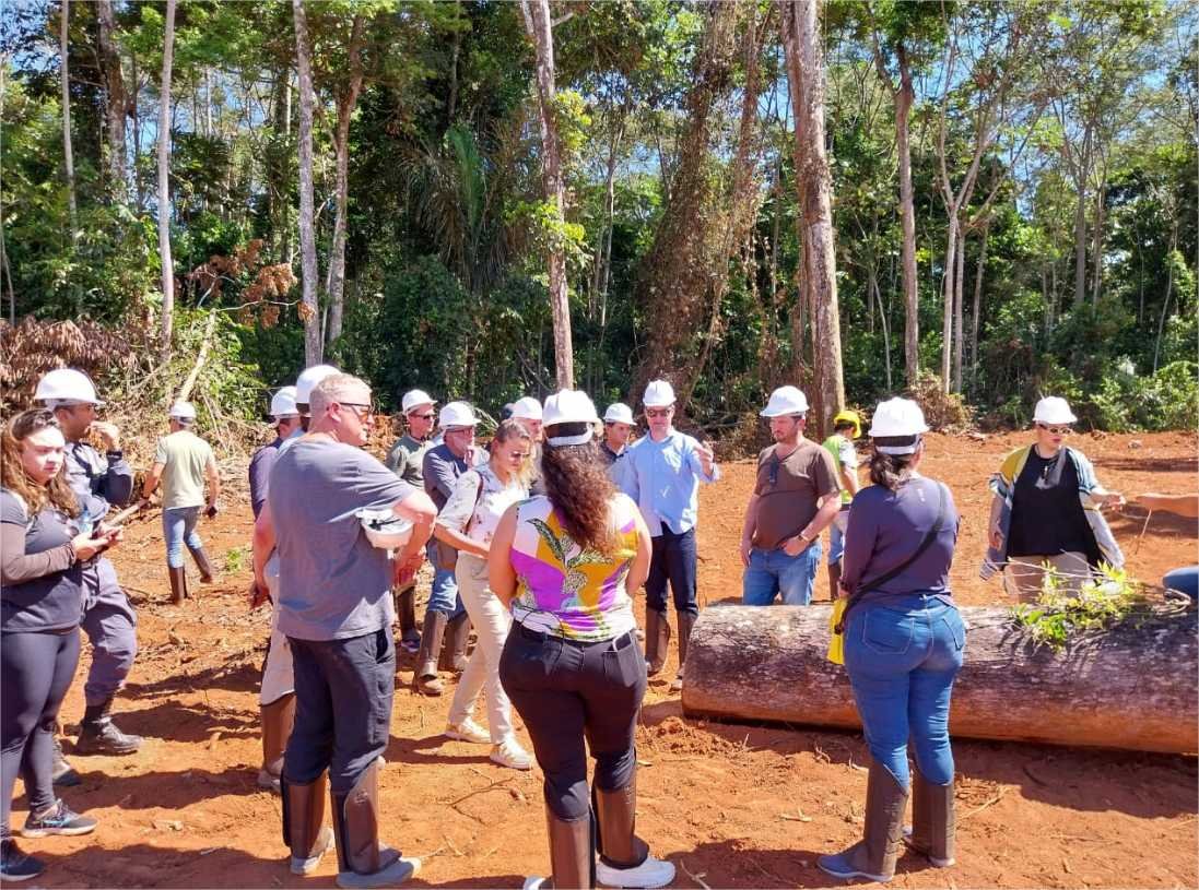 Transparência e sustentabilidade da madeira nativa são mostrados no Dia de Floresta