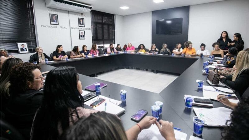 Secretaria da Mulher reúne 13 instituições em caráter emergencial para debater medidas contra feminicídios